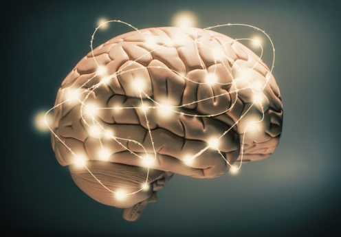Neurons