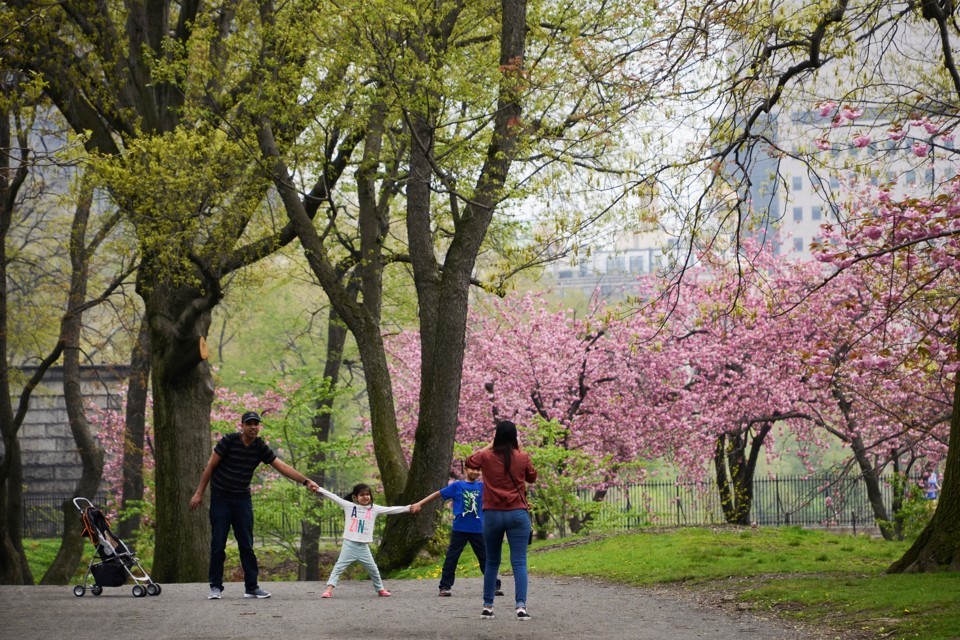 Central Park