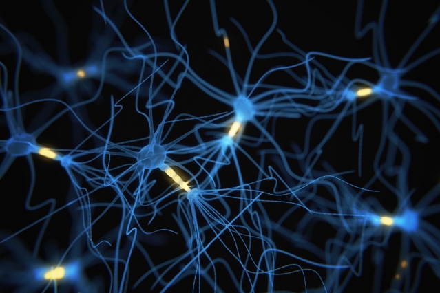 neuron working