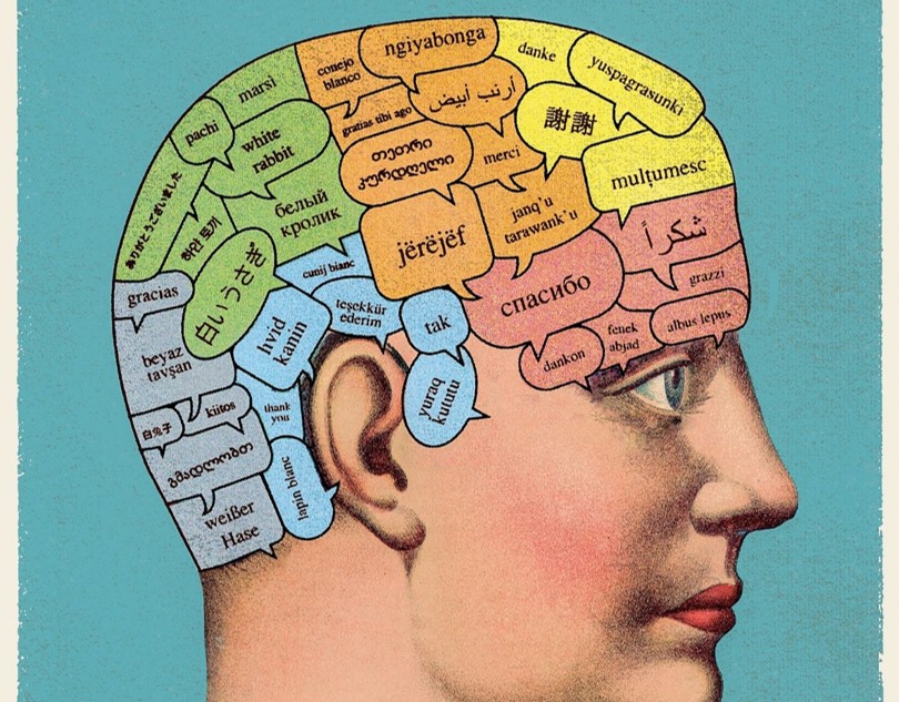 brain2