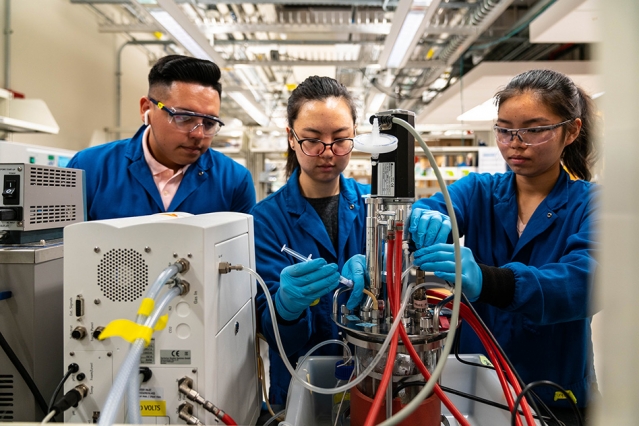 lab