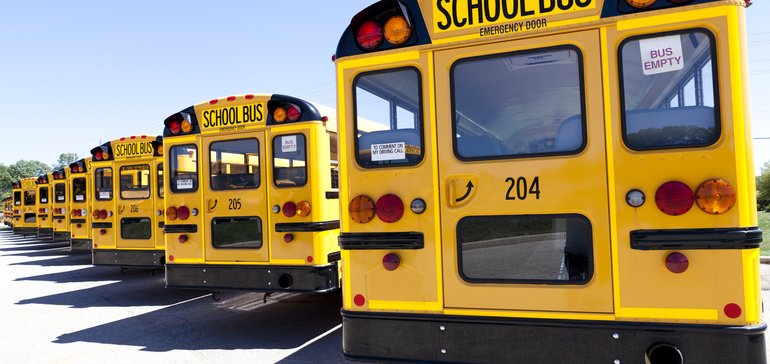 buses