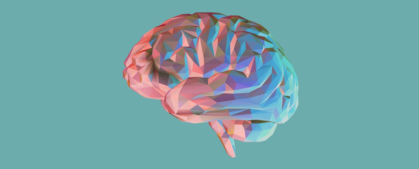 Brain